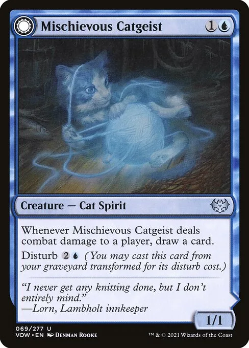 Gatogeist travieso // Curiosidad gatuna