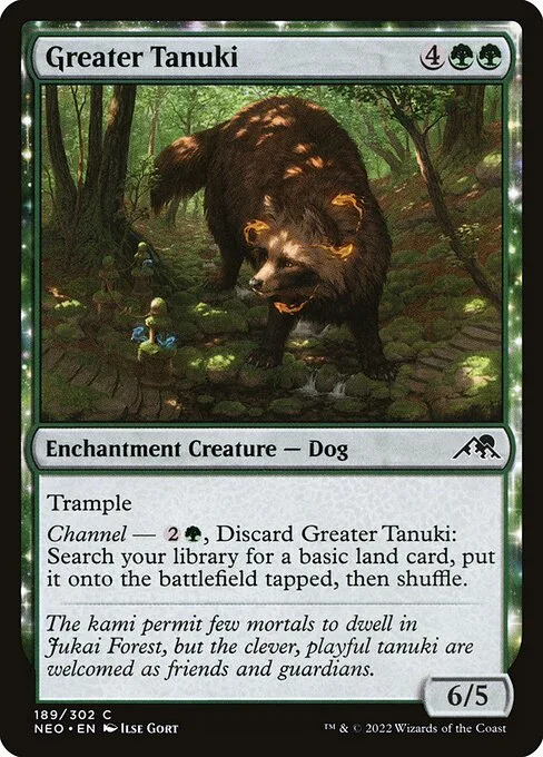 Tanuki grandote