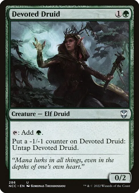 Druida devoto