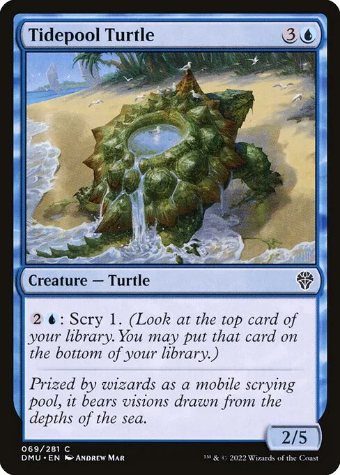 Tortuga poza de marea