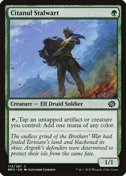 Protector de Citanul