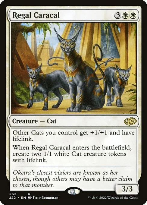Caracal regio
