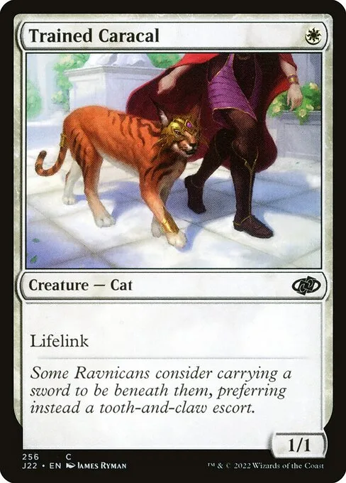Lince adiestrado