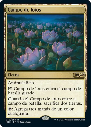 MTG Canarias – Campo de lotos