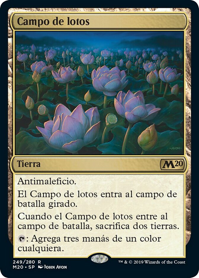 MTG Canarias - Campo de lotos