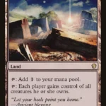 MTG Canarias - C13 295 - Homeward Path