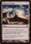 MTG Canarias - C13 295 - Homeward Path