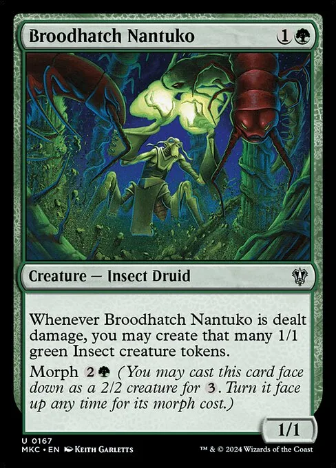 Nantuko incubacrías