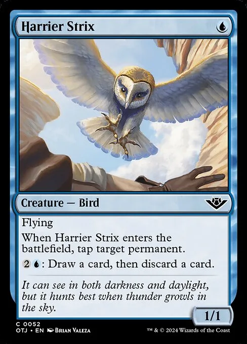 Strix hostigador