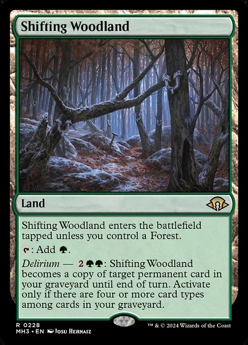 Foresta cambiante