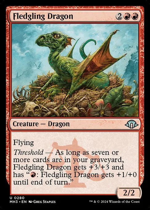 Dragón novato