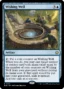 MTG Canarias - BLB 81 - Wishing Well