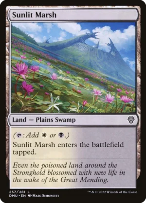 MTG Canarias - DMU 257 - Sunlit Marsh