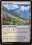 MTG Canarias - DMU 257 - Sunlit Marsh