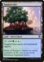 MTG Canarias - DMU 258 - Tangled Islet