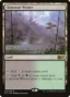 MTG Canarias - M15 244 - Llanowar Wastes