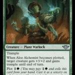 MTG Canarias - OTJ 152 - Aloe Alchemist