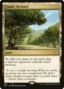 MTG Canarias - C21 288 - Exotic Orchard