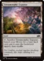 MTG Canarias - J25 0156 - Terramorphic Expanse