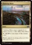 MTG Canarias - J25 0779 - Thriving Moor