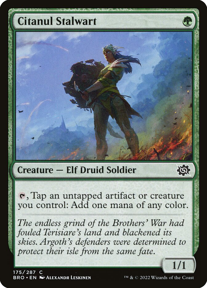 MTG Canarias - BRO 175 - Citanul Stalwart