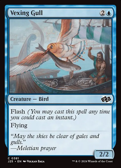 Gaviota fastidiosa