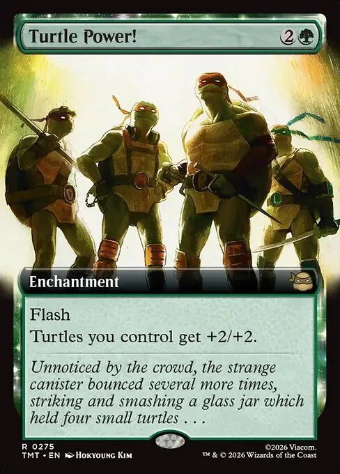 ¡Poder tortuga!