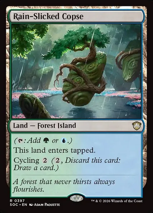 Bosque bañado por la lluvia