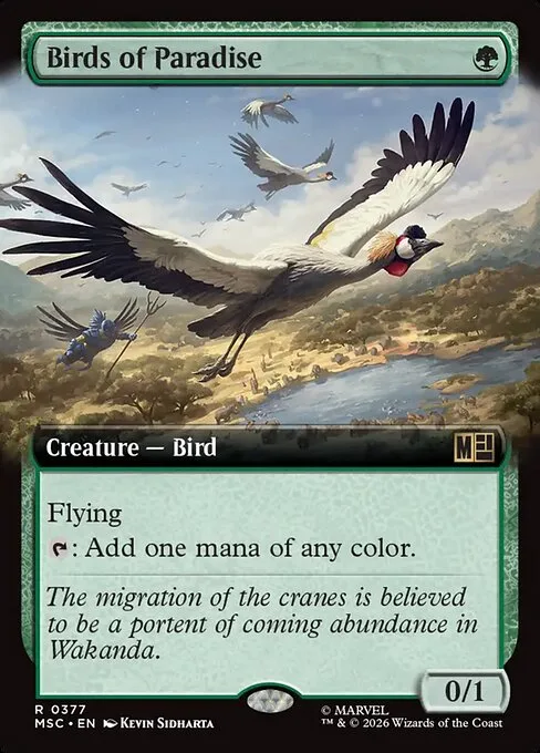 Aves del paraíso