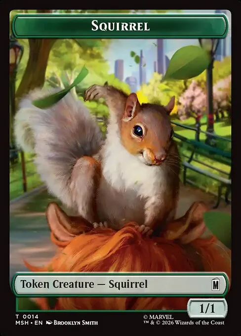 Squirrel