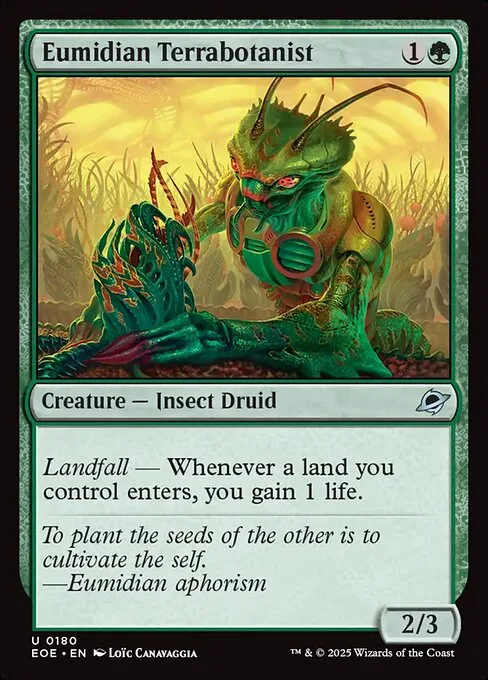 Terrabotanista eumidita