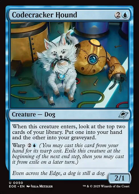 Perro rompecódigos