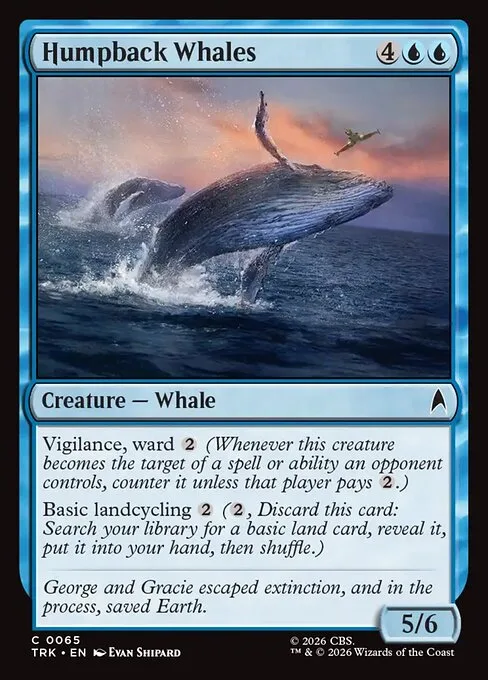 Humpback Whales